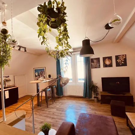 Apartment Under Roof *