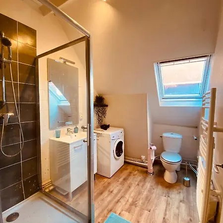 Apartment Under Roof *