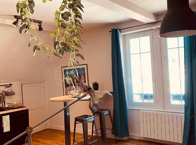 Apartment Under Roof Clermont-Ferrand