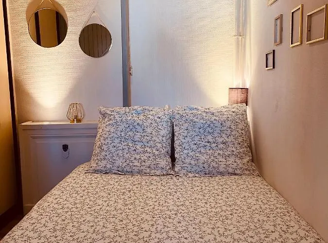 Apartment Under Roof